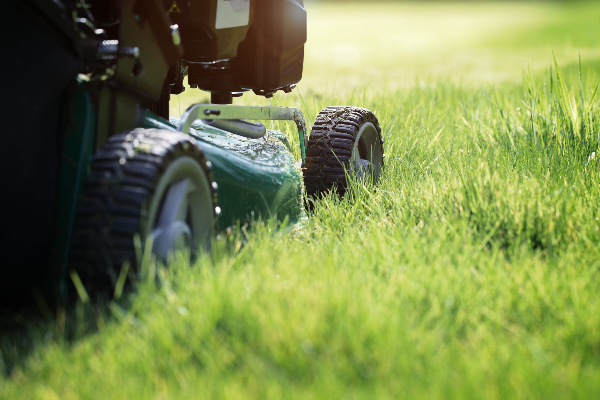 Chester County Grass Cutting Services