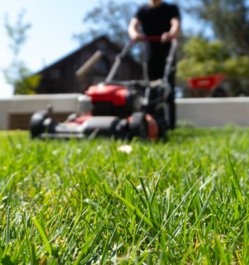 Lawn Mowing Services in West Chester, PA