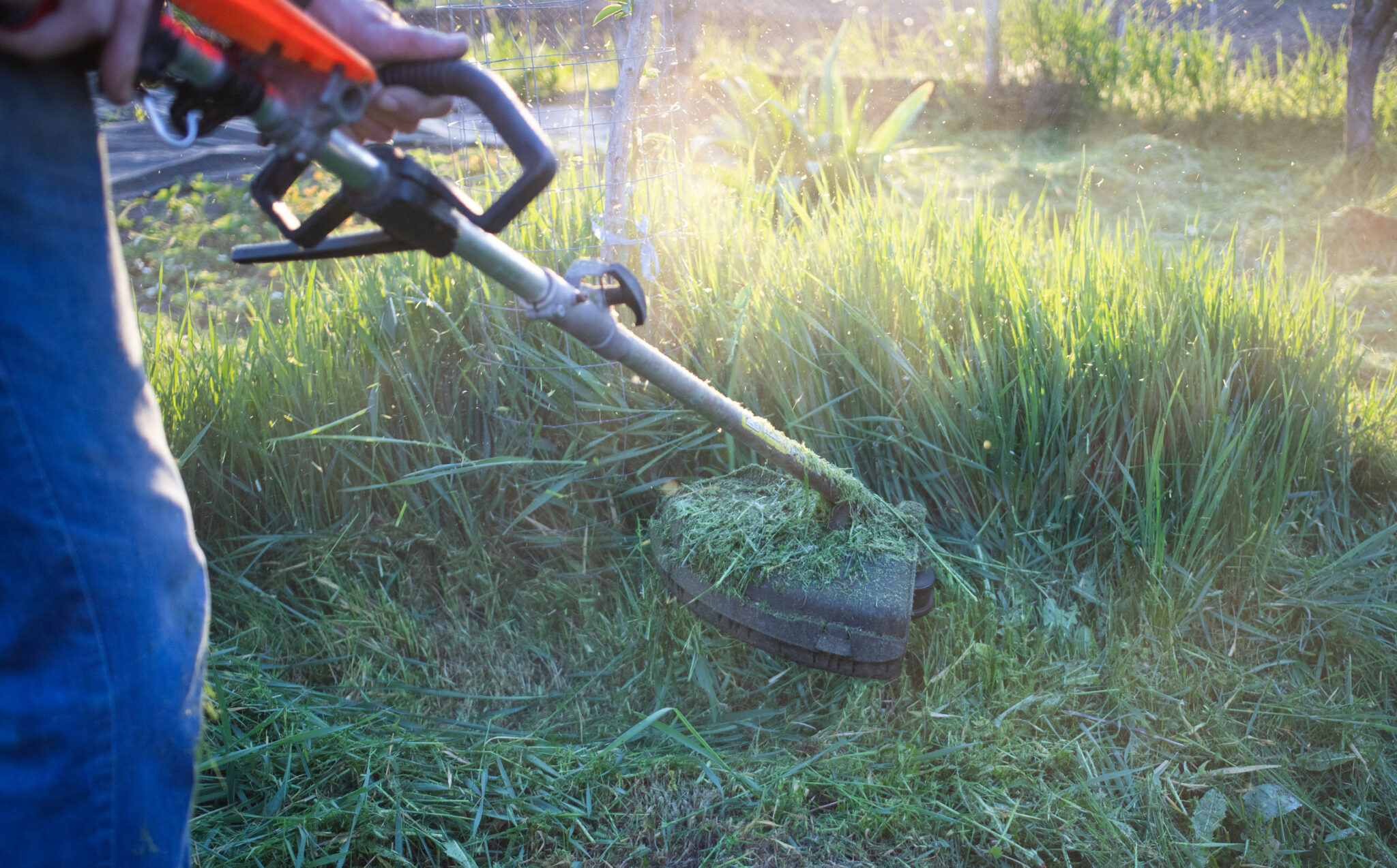 Lawn Maintenance help in Chester Springs, PA<br />
