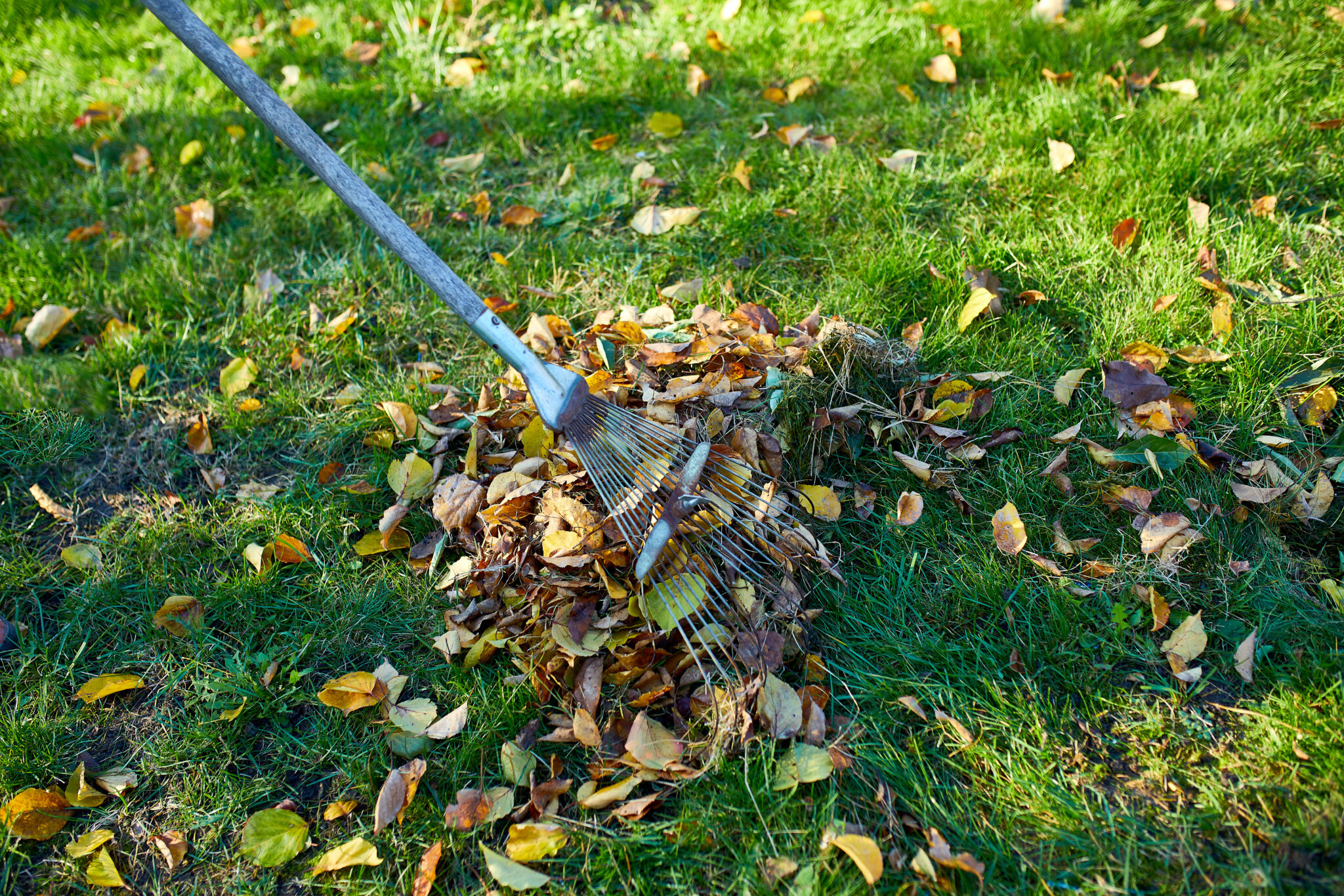 Seasonal Lawn Care in Gladwyne, PA Seasonal Lawn Care in Gladwyne, PA